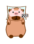 Autocollant Capybara – Dodo