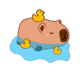 Autocollant Capybara – Bain canards