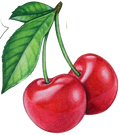 Autocollant Été – Cerise