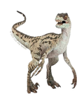 Autocollant Dinosaure – Raptor