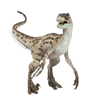 Autocollant Dinosaure – Raptor