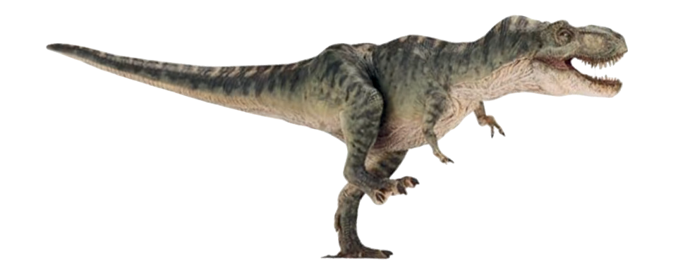 Autocollant Dinosaure – T-Rex