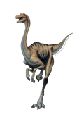 Autocollant Dinosaure – Galliminus