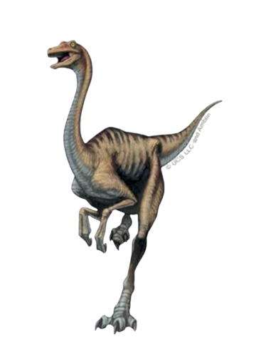 Autocollant Dinosaure – Galliminus