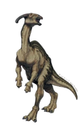 Autocollant Dinosaure – Parasaurolophus
