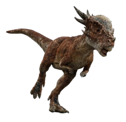 Autocollant Dinosaure – Stygimoloch