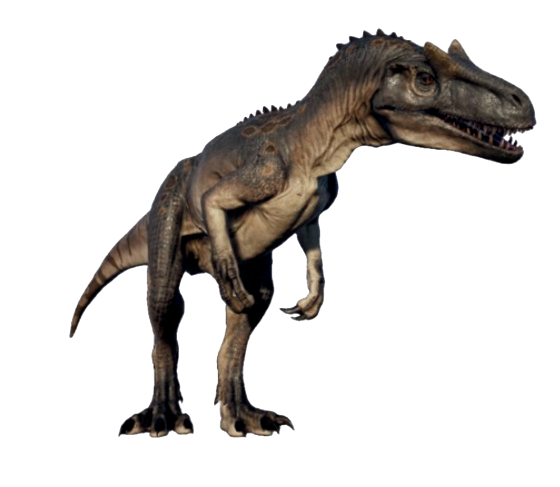 Autocollant Dinosaure – Allosaurus