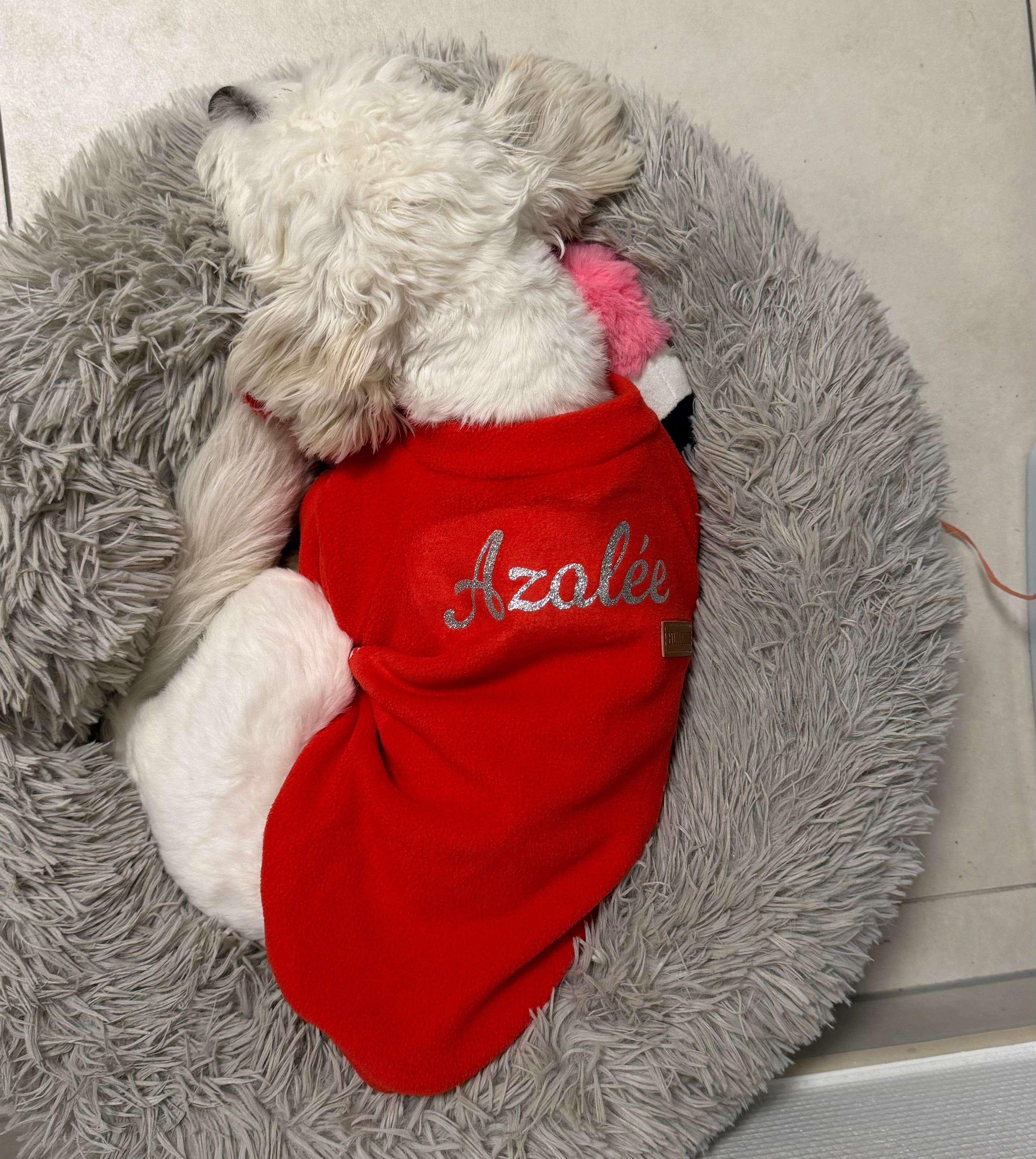 Manteau polaire pour chien personnalisé